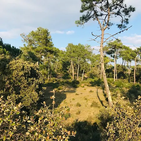 Le Marin Des Vertmarines Holiday home
