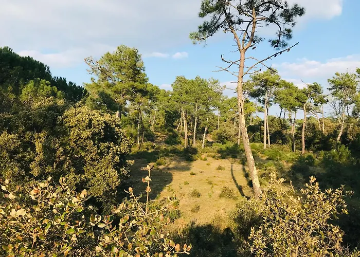 Le Marin Des Vertmarines Сasa de vacaciones