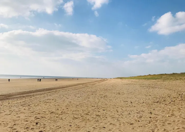 Le Marin Des Vertmarines *